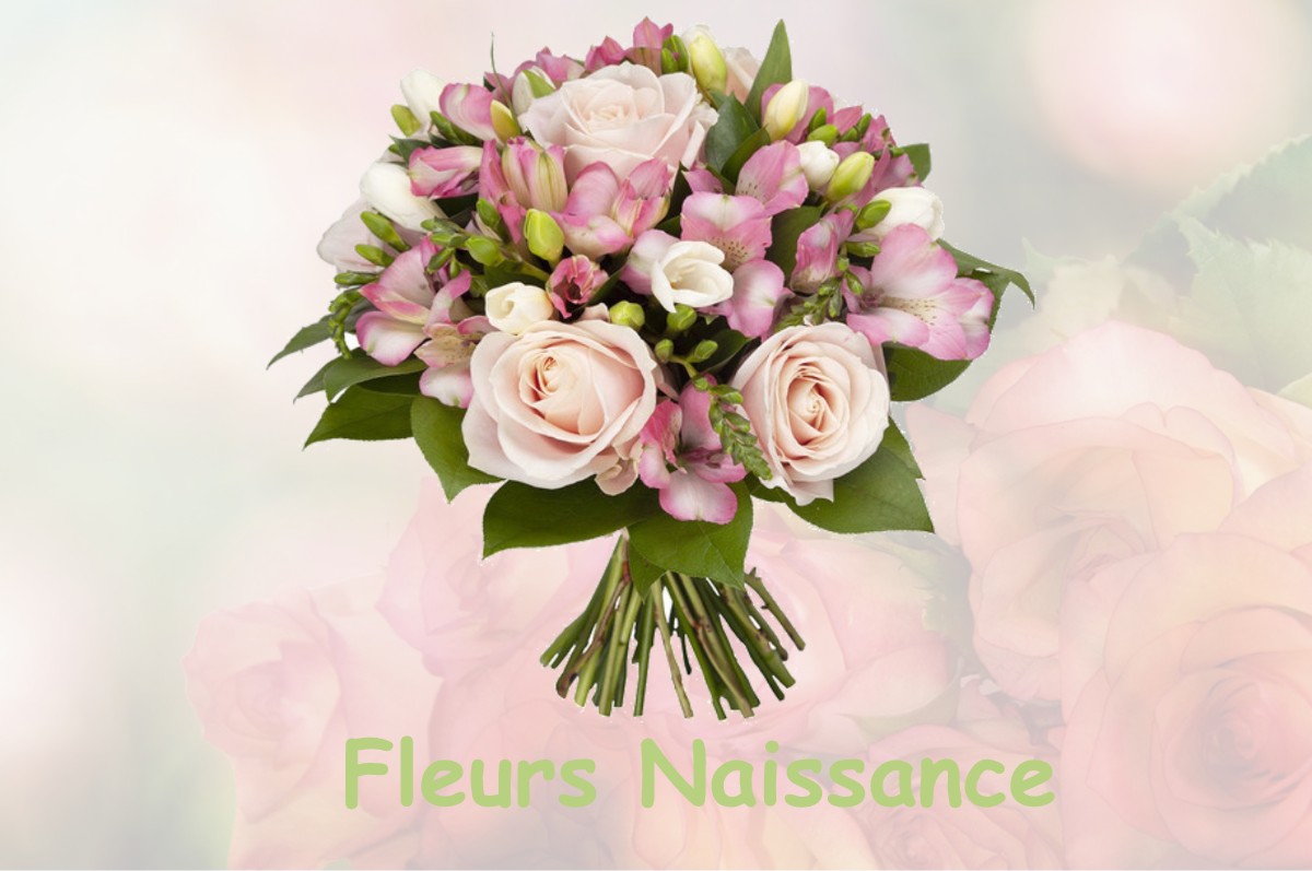 fleurs naissance ANDERNAY