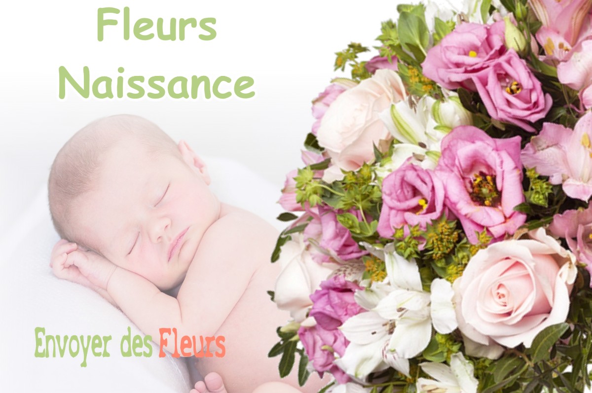 lIVRAISON FLEURS NAISSANCE à ANDERNAY